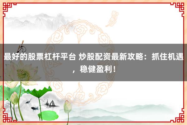 最好的股票杠杆平台 炒股配资最新攻略：抓住机遇，稳健盈利！