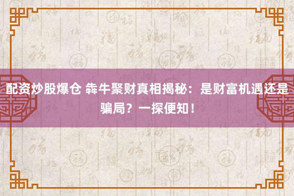 配资炒股爆仓 犇牛聚财真相揭秘：是财富机遇还是骗局？一探便知！