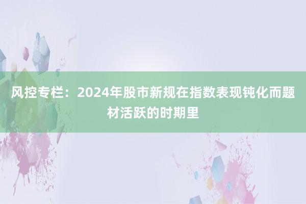 风控专栏：2024年股市新规在指数表现钝化而题材活跃的时期里
