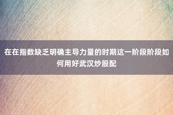 在在指数缺乏明确主导力量的时期这一阶段阶段如何用好武汉炒股配
