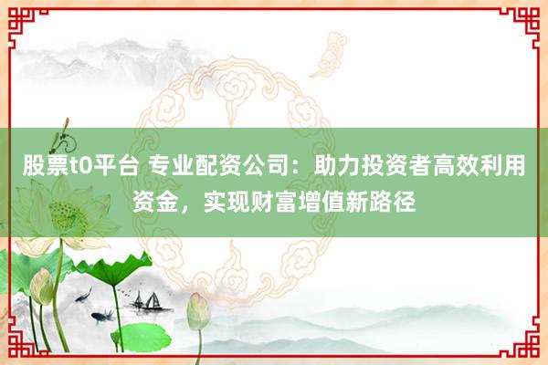 股票t0平台 专业配资公司:助力投资者高效利用资金,实现财富增值新路径