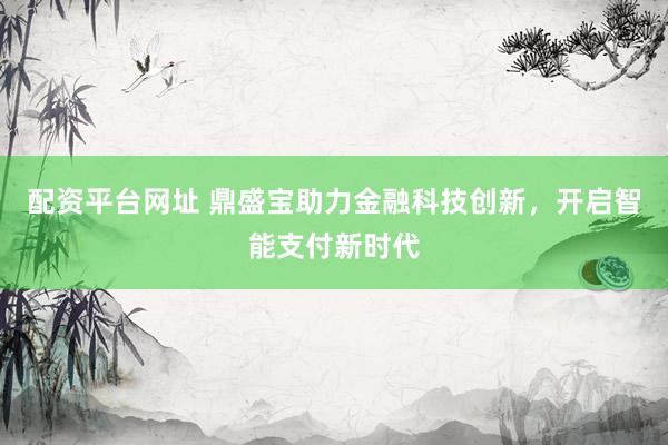 配资平台网址 鼎盛宝助力金融科技创新，开启智能支付新时代